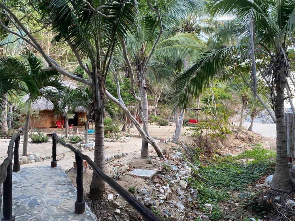 Hotel Bahia De La Luna Arroyo Cruz Buitenkant foto